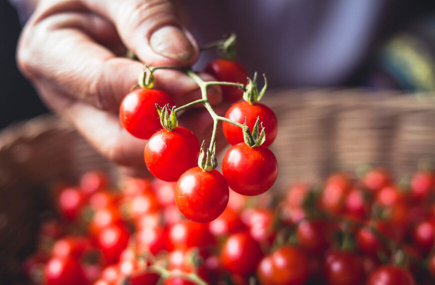 cherrytomaten