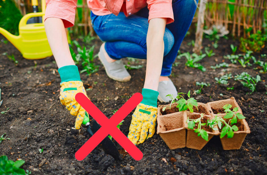 3 dingen die je absoluut niet moet doen in je tuin in het voorjaar.