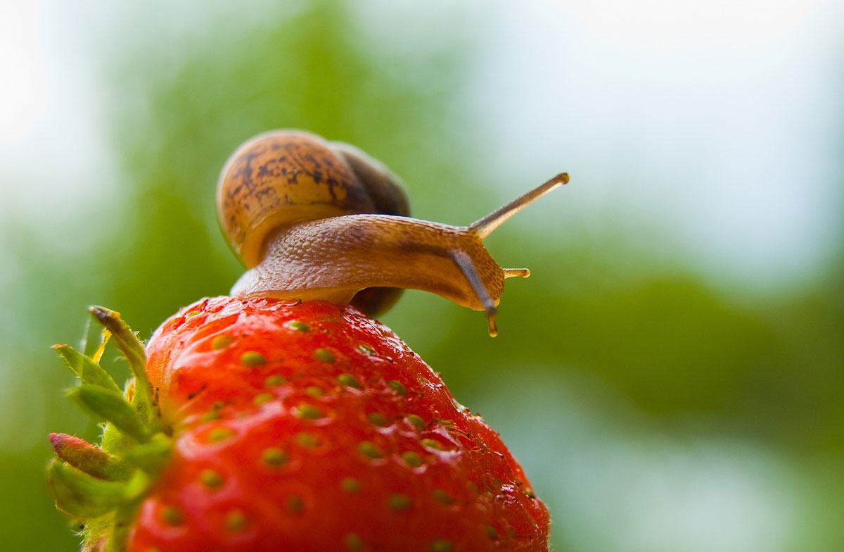 Dit Zijn De Beste Trucs Om Op Een Natuurlijke En Duurzame Manier Van