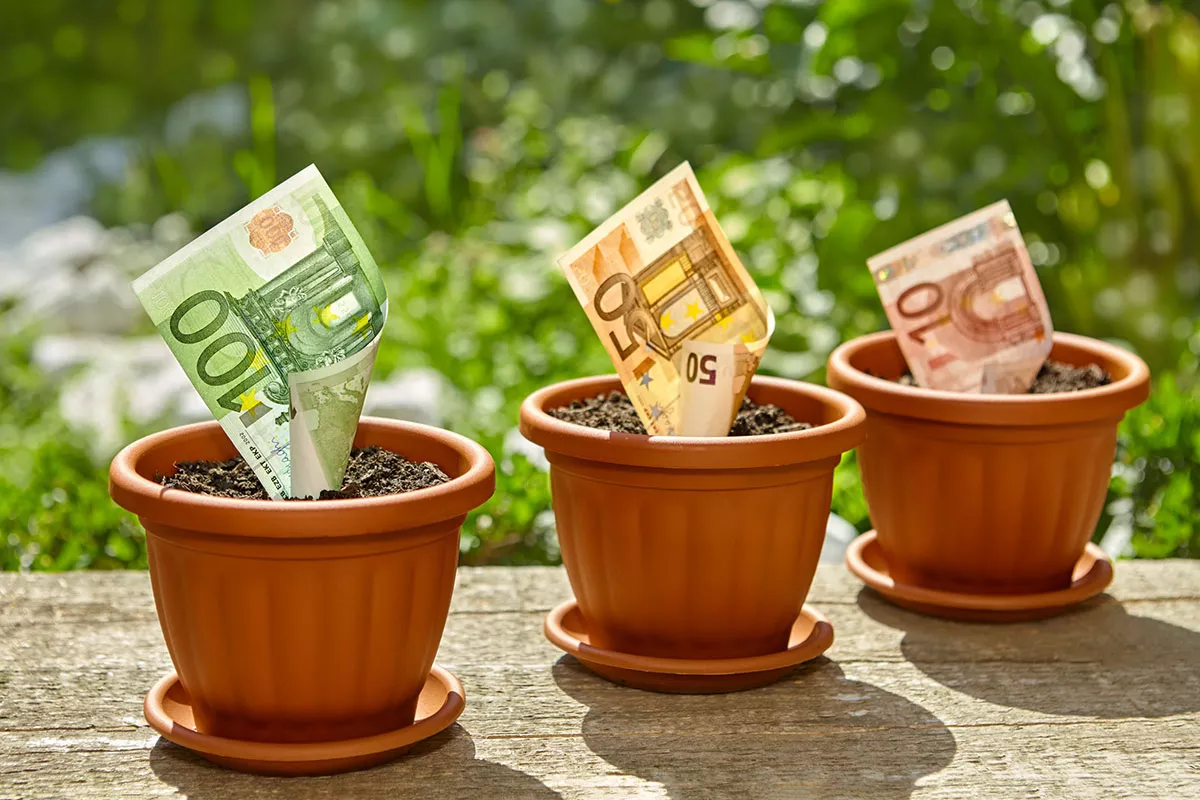 Hier zijn de beste tips om geld te verdienen met je tuin