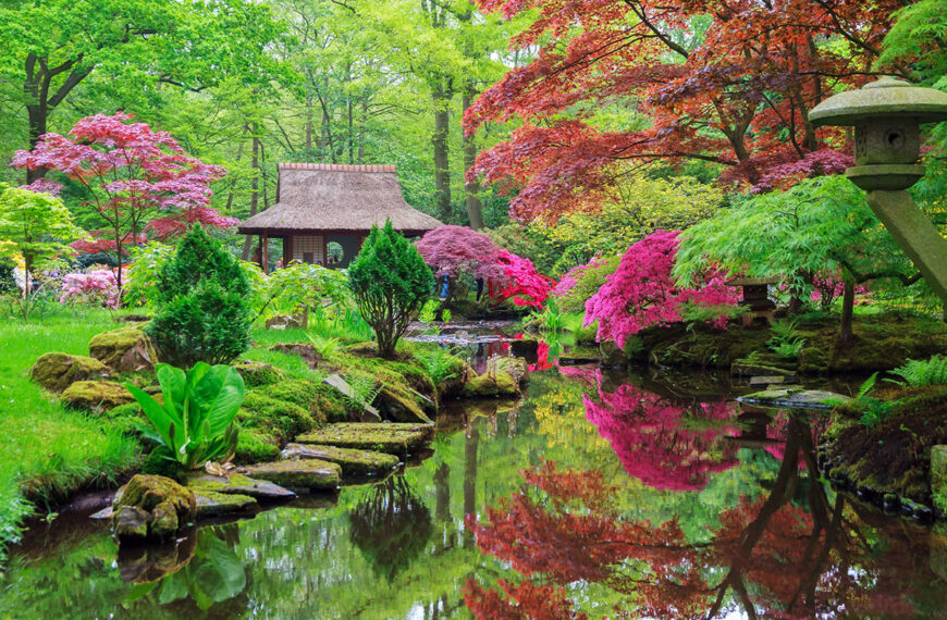 Japanse tuin