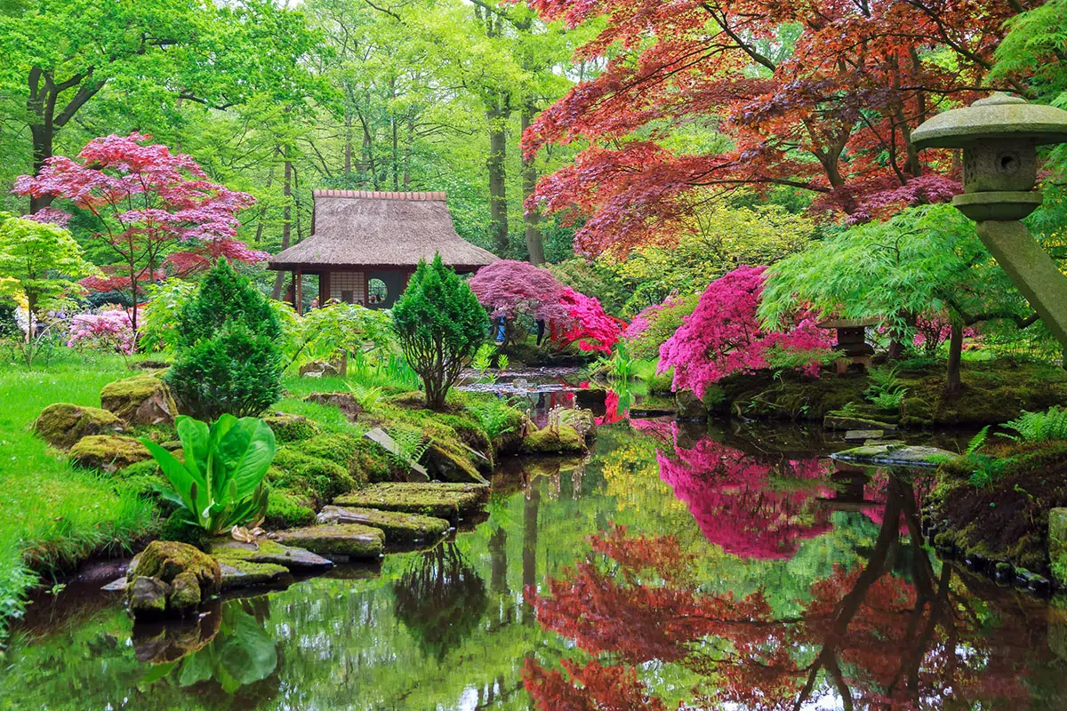 Japanse tuin