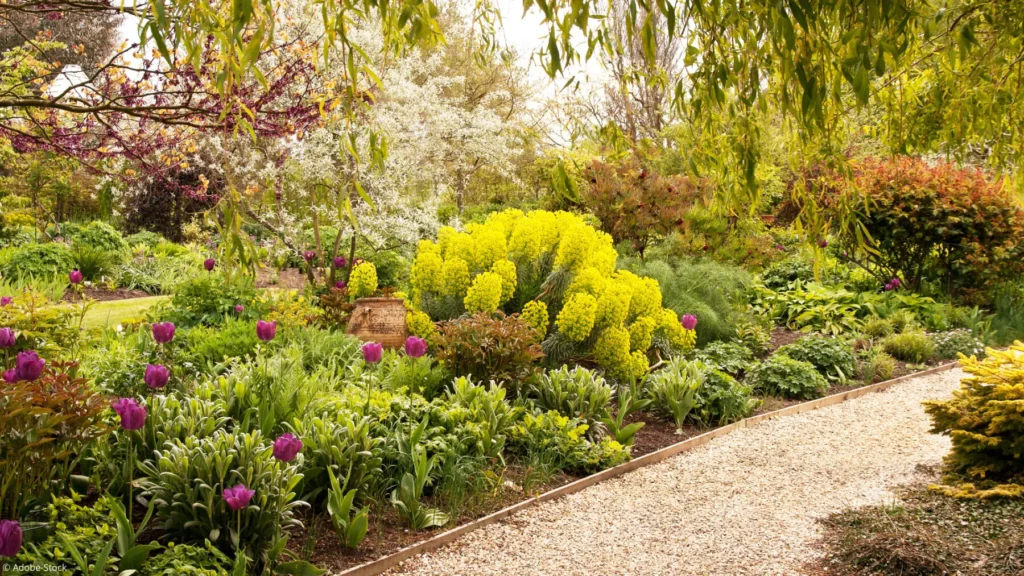 5 stevige en prachtige planten voor een bloeiende tuin het hele jaar door