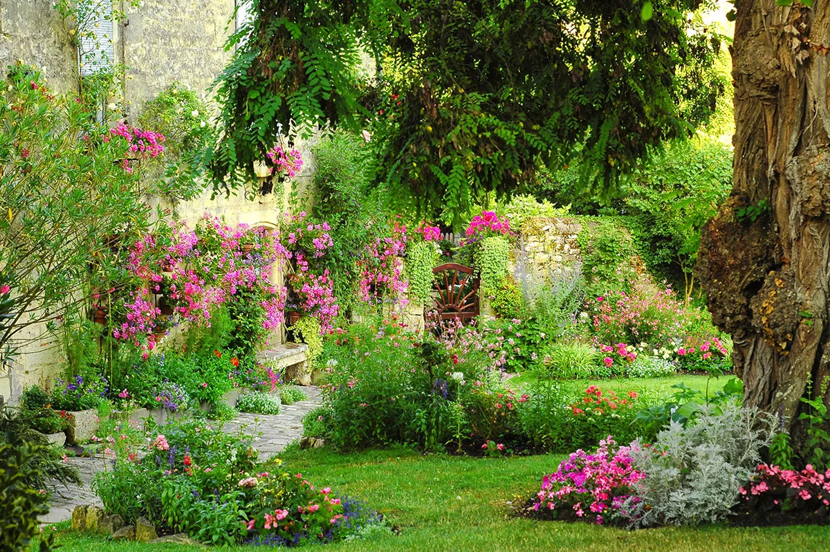 5 tips om je tuin te transformeren zonder failliet te gaan