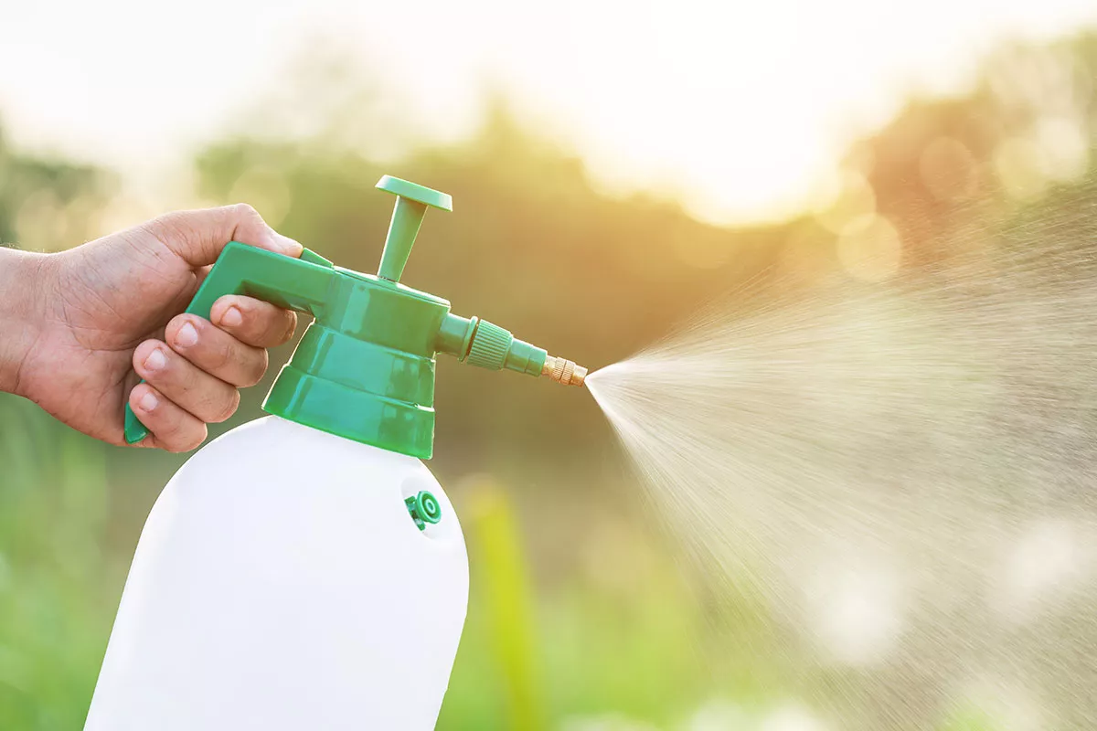 Dit is het meest effectieve natuurlijke recept om je eigen onkruidverdelger te maken