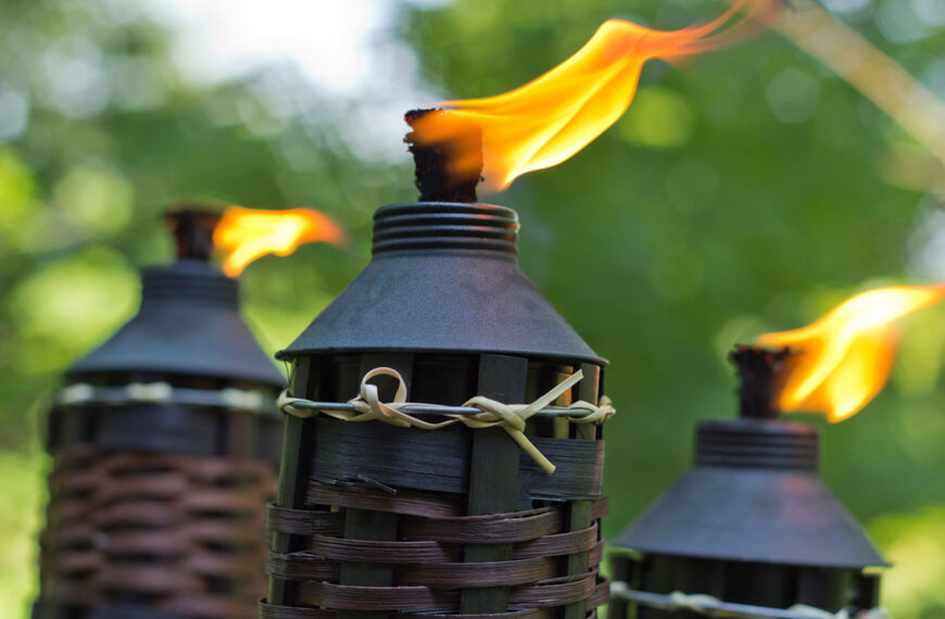 Werden muggen echt afgestoten door citronella