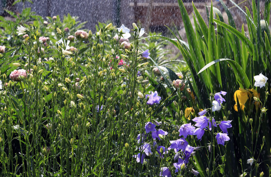 De essentiële taak uitvoeren in uw tuin na de regen