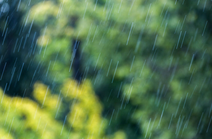 Dit is wat je absoluut moet doen in de tuin vóór zware regenval