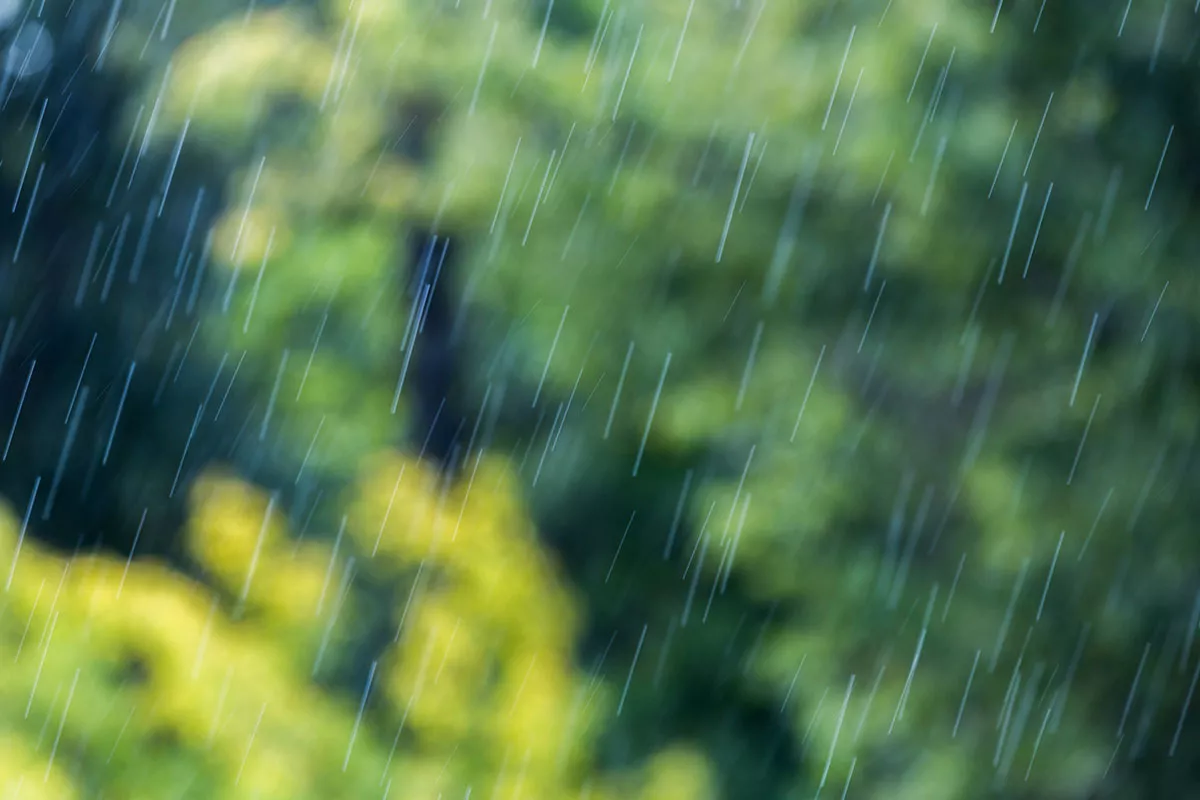 Dit is wat je absoluut moet doen in de tuin vóór zware regenval