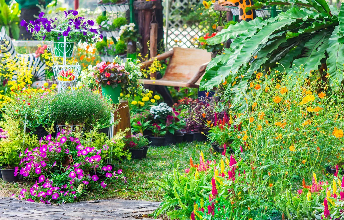 De 3 essentiële taken uit te voeren in uw tuin in september