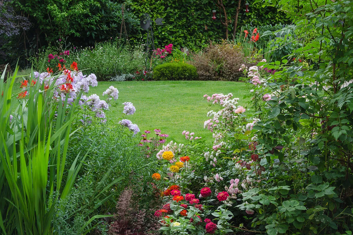 Deze eenvoudige tip, nu te doen, zal de groei van je planten volgend voorjaar stimuleren.