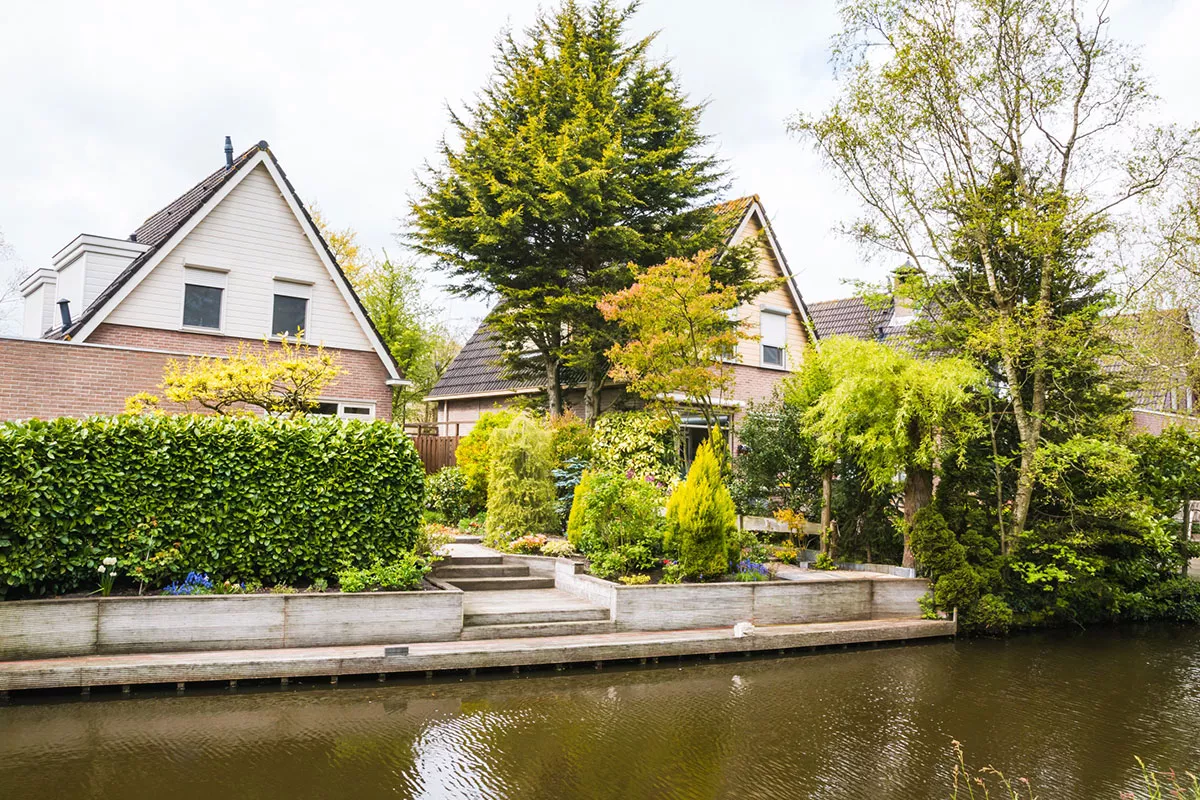 Zelfs in een kleine tuin kunt u luxueuze bomen hebben