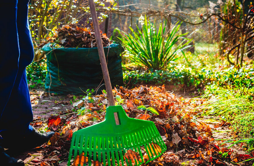 Wat te doen in de tuin in februari