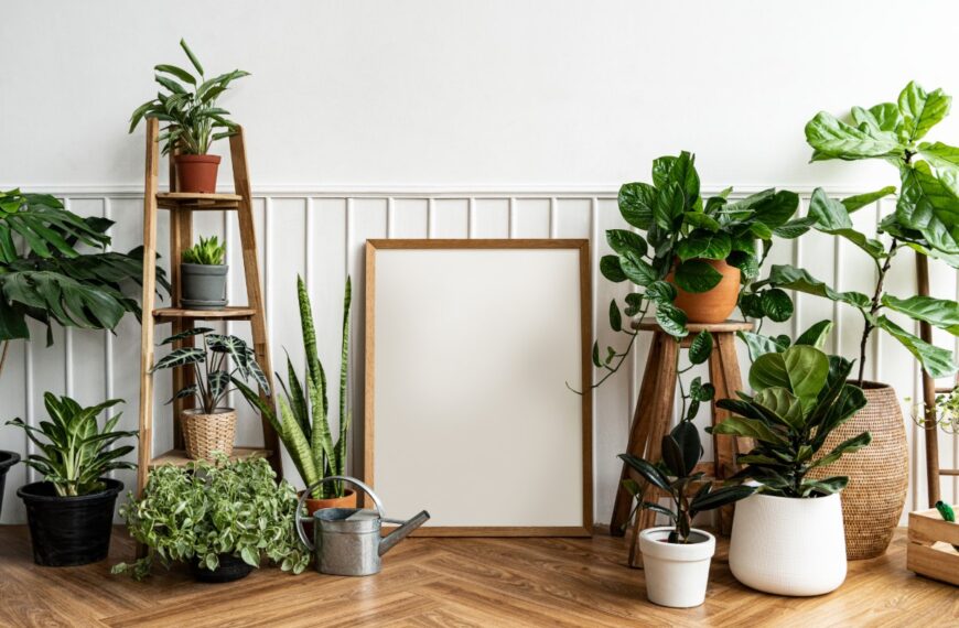 21 planten om in een kamer te zetten