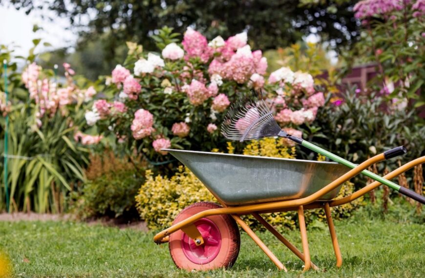 Laatste kans om deze 3 bloemen te planten en uw tuin in de lente prachtig te maken!