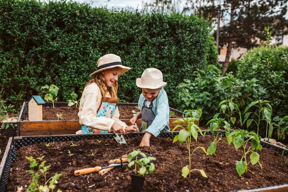 Volgens een tuinexpert moet je deze drie planten in maart voor een geslaagde tuin